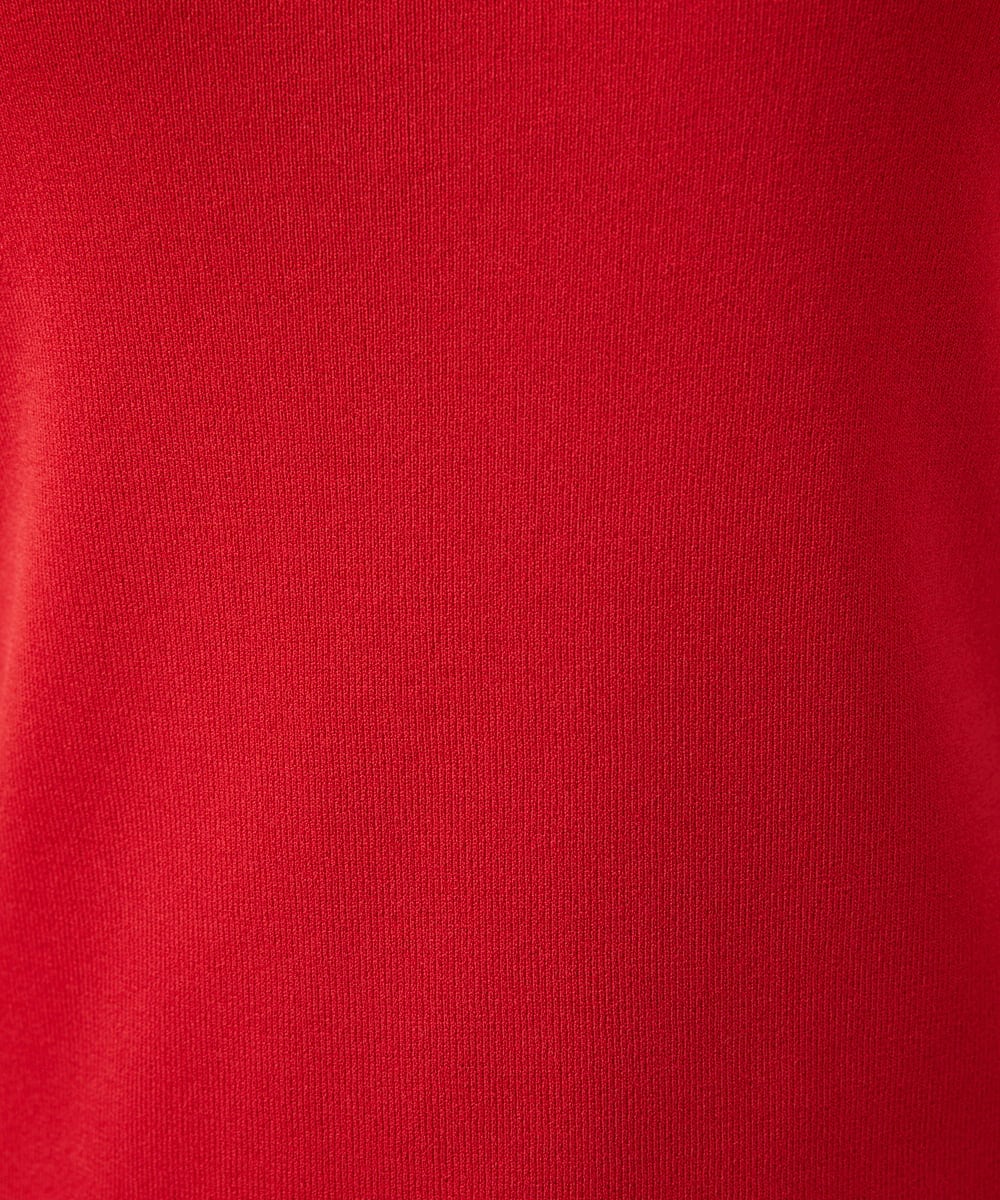 GBFAD02250 Sybilla(シビラ) レーヨンストレッチプルオーバー レッド
