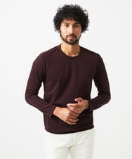 MNKAF65150 MICHEL KLEIN HOMME(ミッシェルクラン オム) クルーネック長袖カットソー パープル