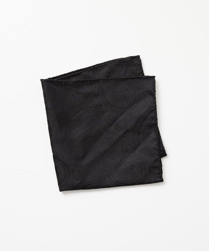 MO9TF50060 MICHEL KLEIN HOMME ポケットチーフ