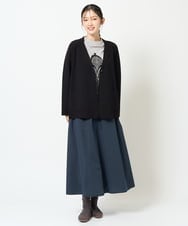 NGHJD16330 GIANNI LO GIUDICE(ジャンニ ロ ジュディチェ) [洗える]レジメンストライプスカート ブラウン