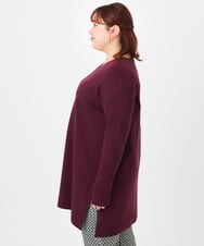 OLEBD17089 eur3(エウルキューブ) 【大きいサイズ】Vネックニットチュニック ワイン(77)