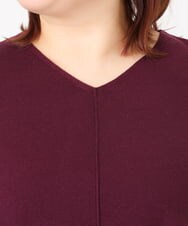 OLEBD17089 eur3(エウルキューブ) 【大きいサイズ】Vネックニットチュニック ワイン(77)