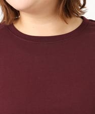 OLKJA10049 eur3(エウルキューブ) 【大きいサイズ/接触冷感】UVカットロールアップスリーブカットソー ワイン(77)