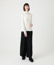 RBLLE12280 HIROKO BIS(ヒロコ ビス) ワッシャーツイルデザインワイドパンツ /洗える ブラウン