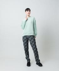 RSKED07490 TRUNK HIROKO KOSHINO(ヒロココシノ) チュール刺繍スリーブデザインプルオーバー グリーン