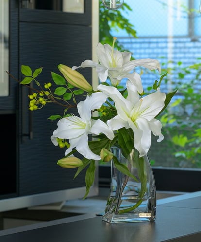 TTNTA92250 EMILIO ROBBA カサブランカ3L