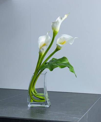 TTNTS41200 EMILIO ROBBA カラー2L